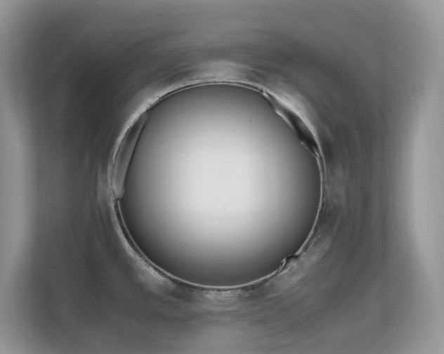 X0000110731389200906121439