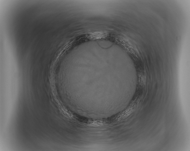 X0000110731393200906121439