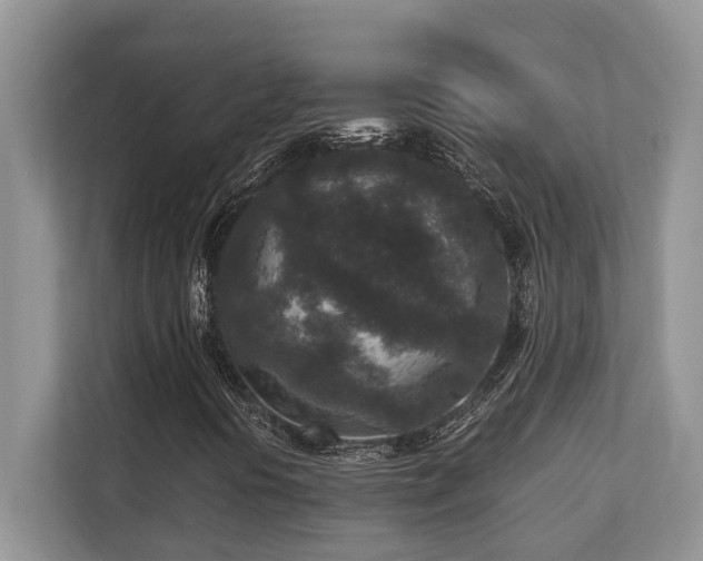 X0000110731394200906121439