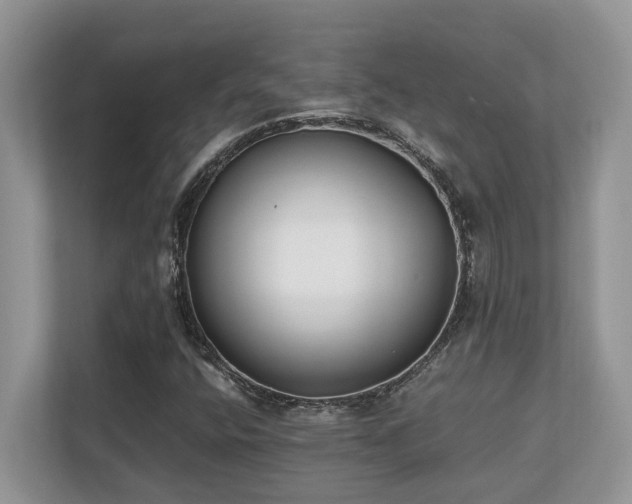 X0000110731400200906121439