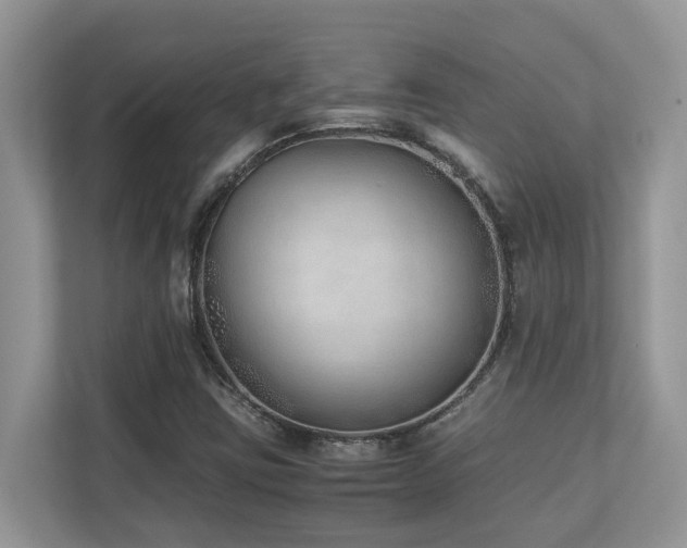 X0000110731403200906121439