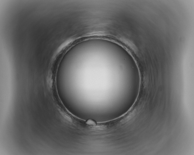 X0000110731406200906121439
