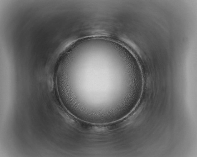 X0000110731407200906121439