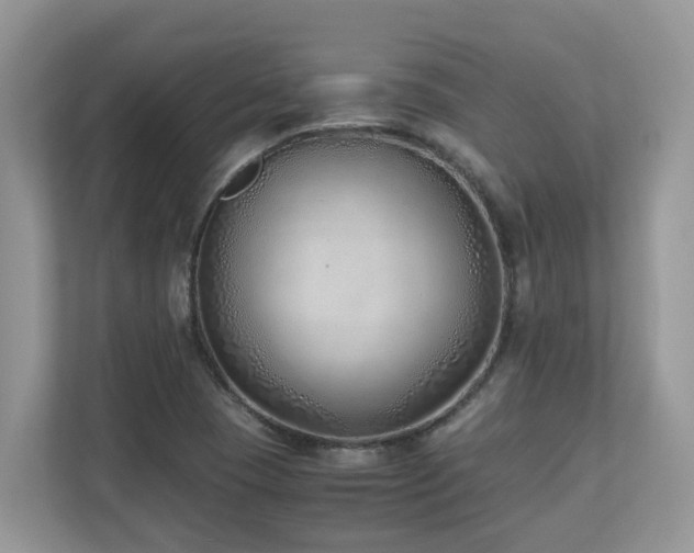 X0000110731409200906121439