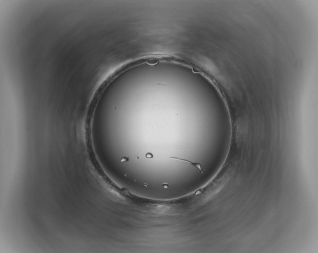 X0000110731412200906121439