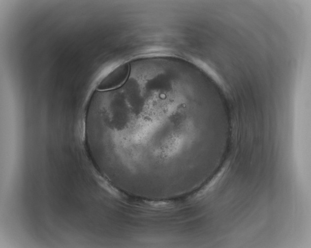 X0000110731413200906121439