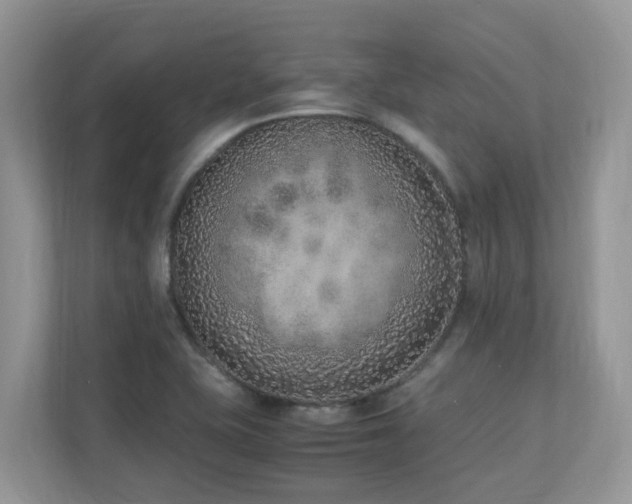 X0000110731415200906121439