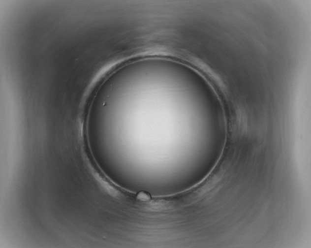 X0000110731416200906121439