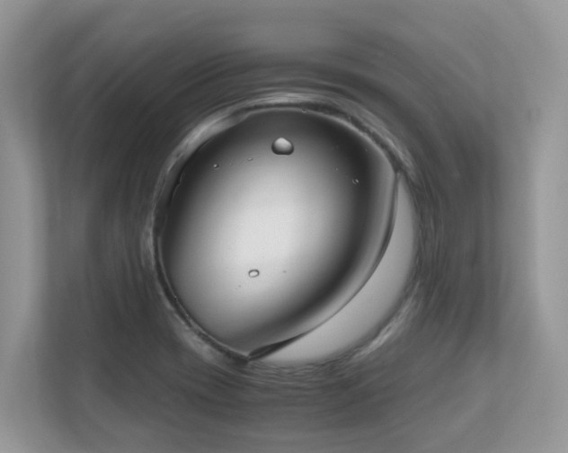 X0000110731417200906121439