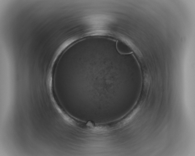 X0000110731418200906121439