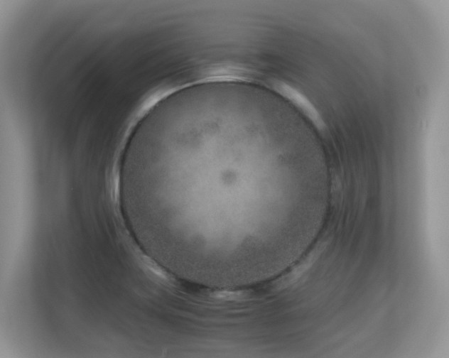 X0000110731419200906121439