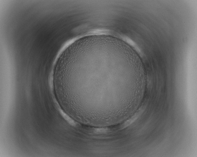 X0000110731421200906121439