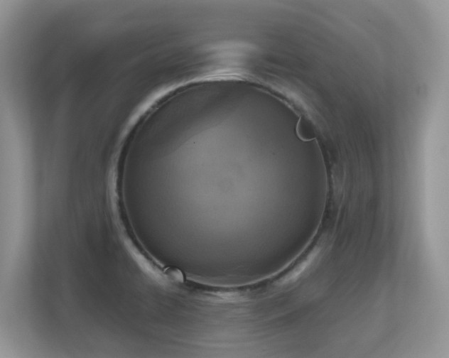 X0000110731422200906121439