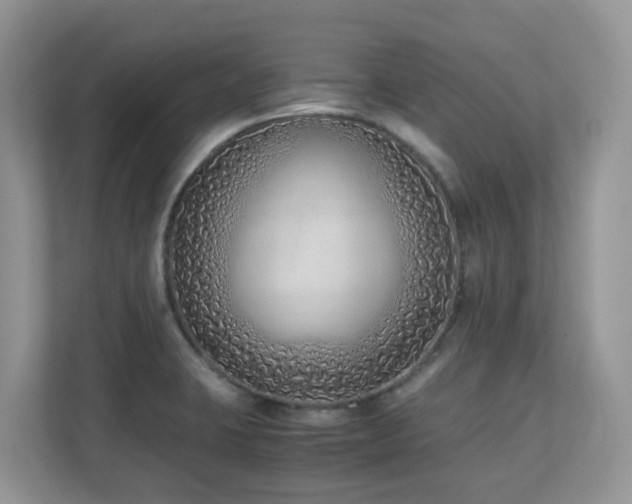 X0000110731423200906121439