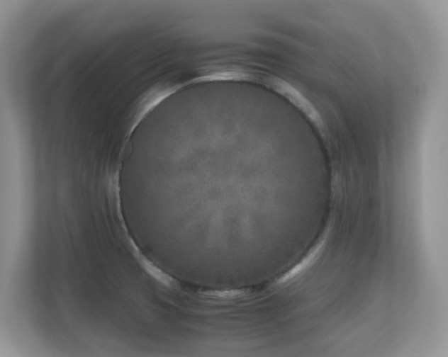 X0000110731425200906121439