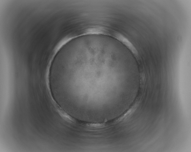 X0000110731427200906121439
