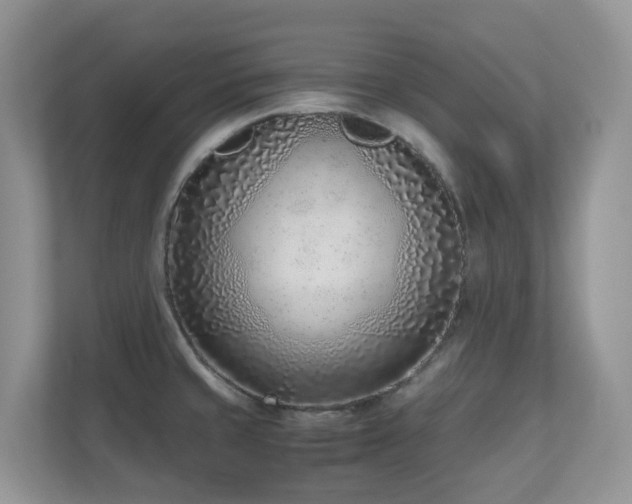 X0000110731429200906121439