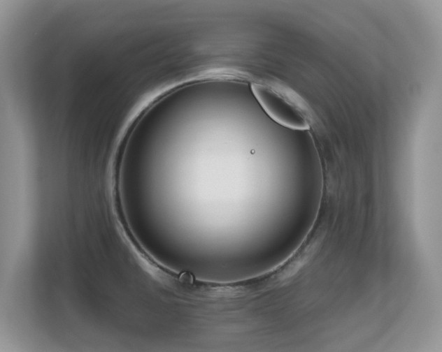 X0000110731430200906121439