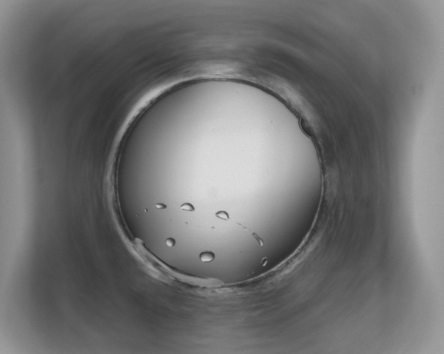 X0000110731432200906121439