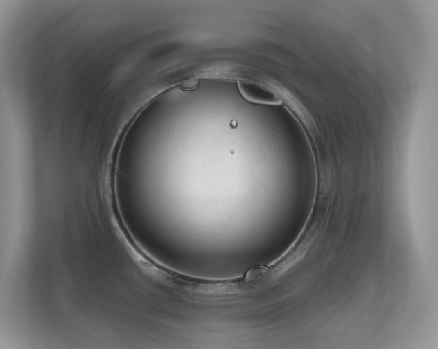X0000110731434200906121439