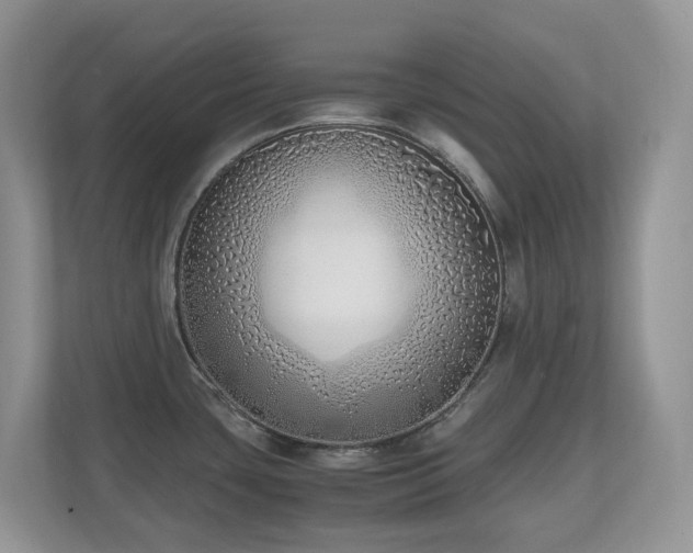 X0000110731435200906121439