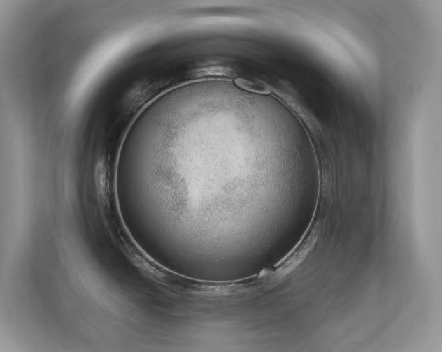 X0000110731438200906121439