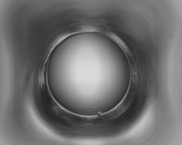 X0000110731439200906121439