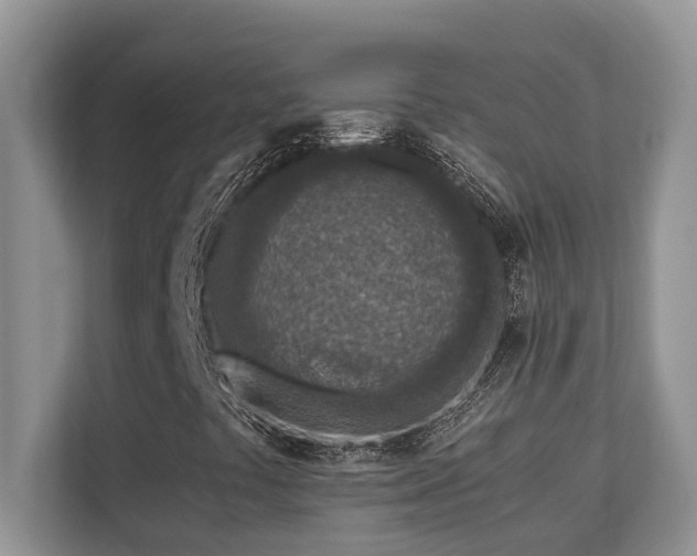 X0000110731441200906121439