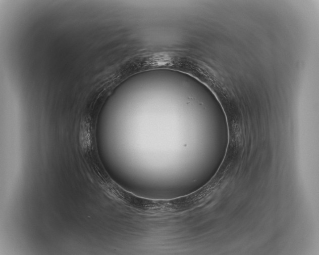 X0000110731442200906121439