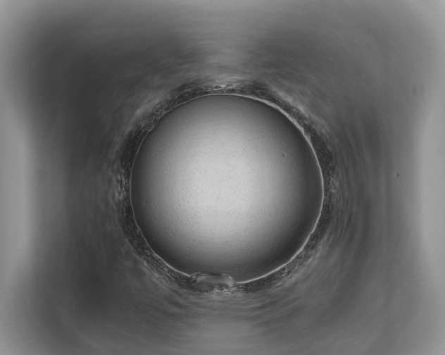 X0000110731447200906121439