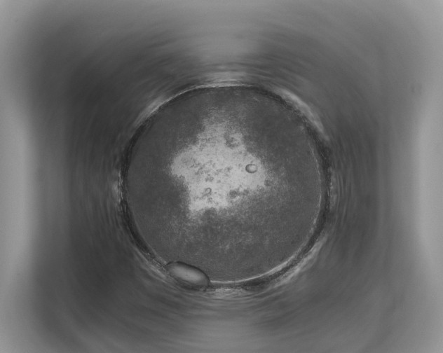 X0000110731449200906121439