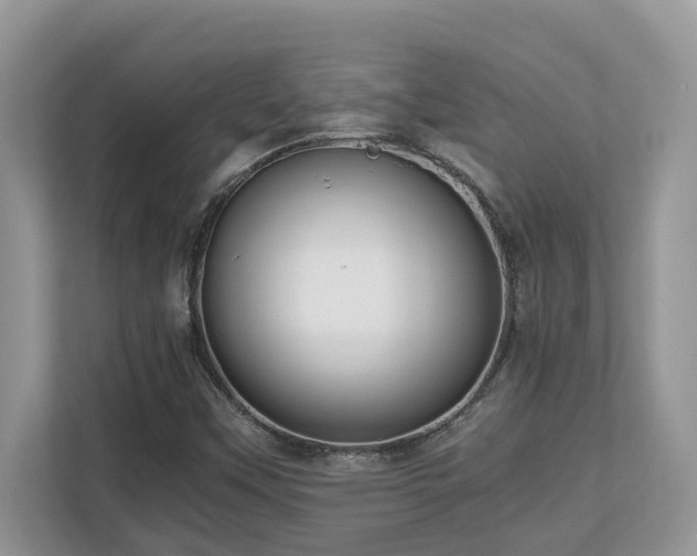 X0000110731451200906121438