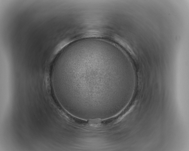 X0000110731453200906121438
