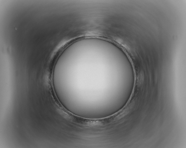 X0000110731454200906121438