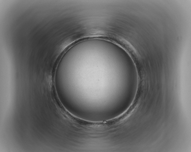 X0000110731457200906121438