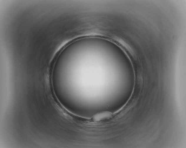 X0000110731460200906121438