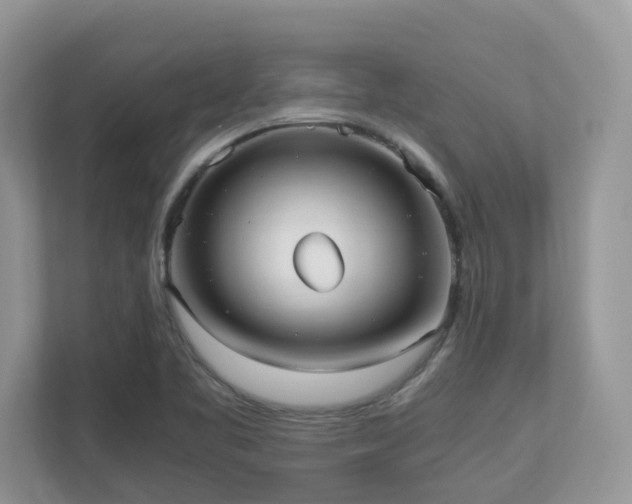 X0000110731461200906121438