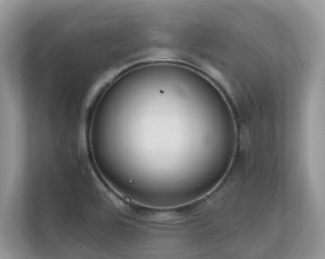 X0000110731464200906121438