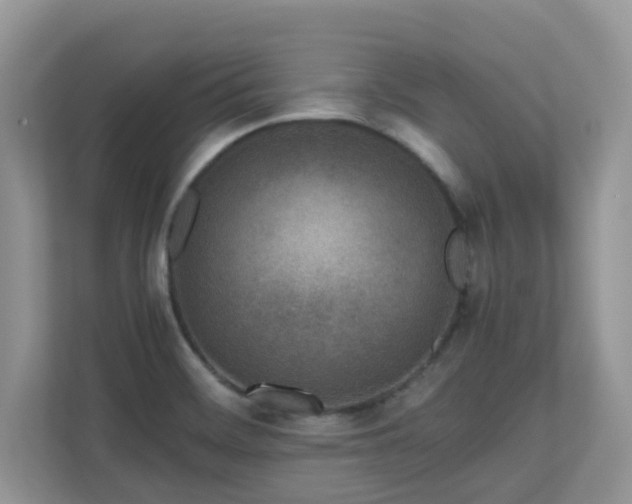 X0000110731468200906121438
