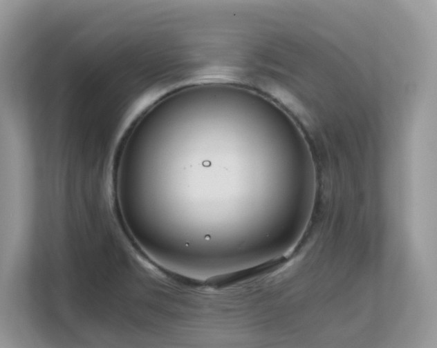 X0000110731469200906121438