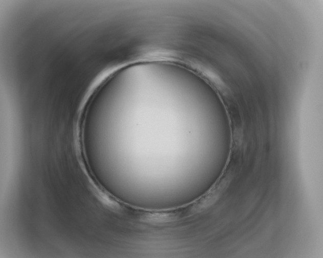 X0000110731470200906121438