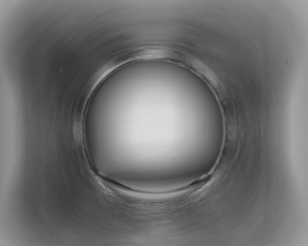 X0000110731473200906121438