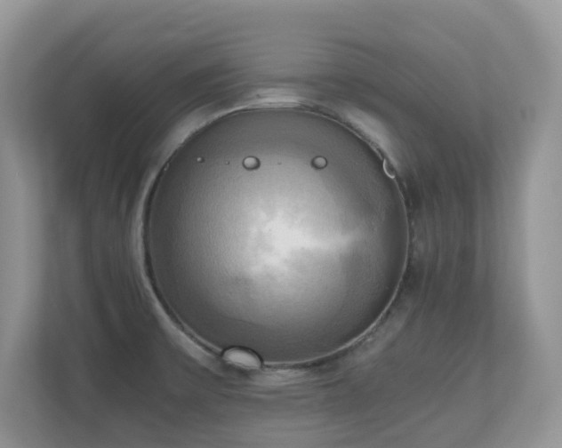 X0000110731475200906121438