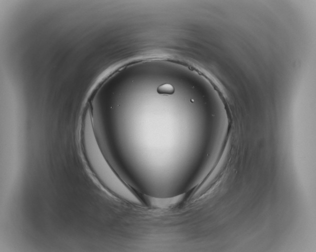 X0000110731477200906121438