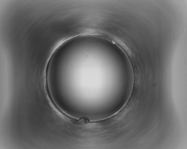 X0000110731479200906121438