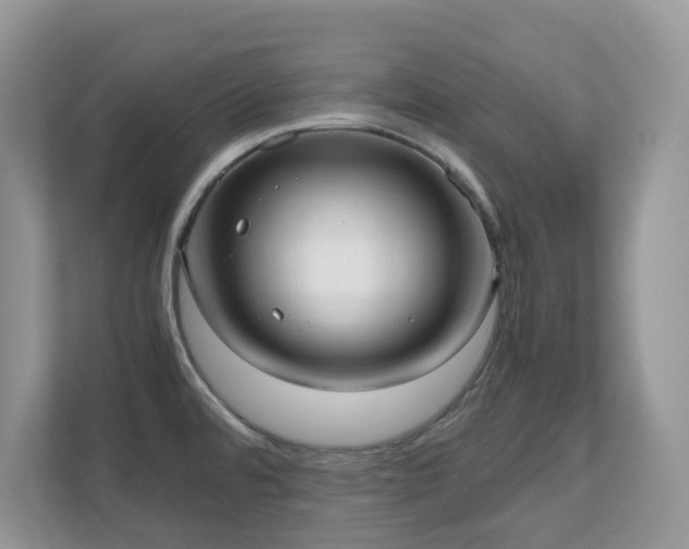 X0000110731480200906121438