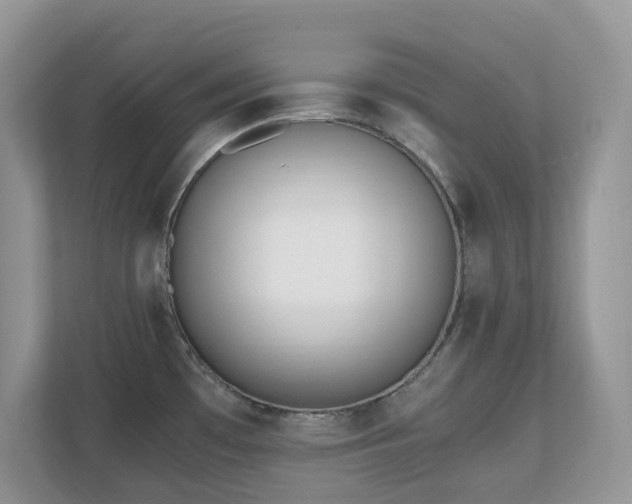 X0000110731481200906121438
