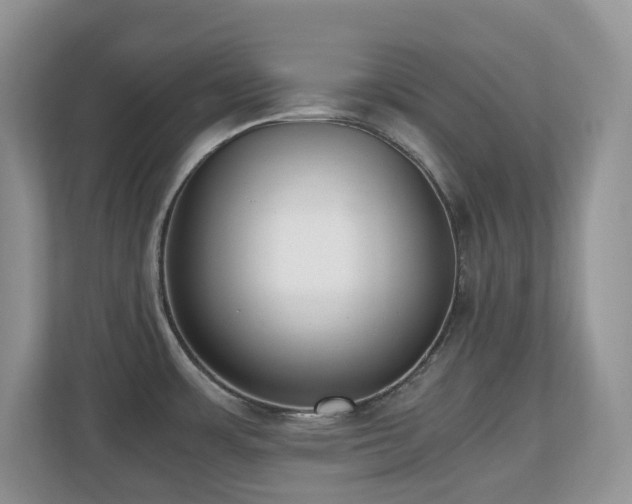 X0000110731483200906121438