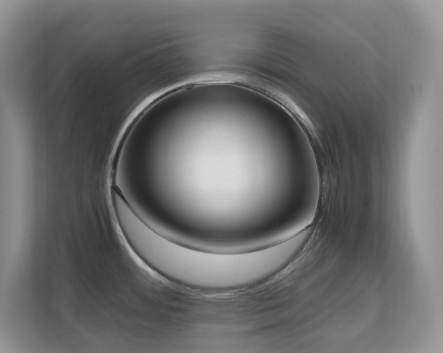 X0000110731484200906121438