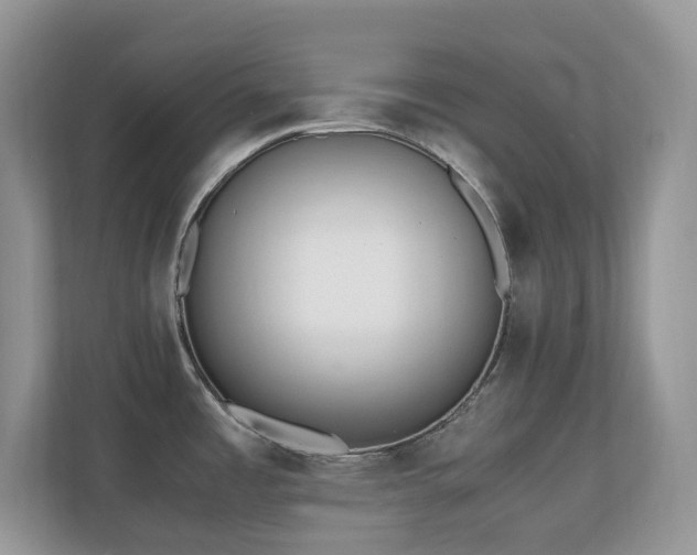 X0000110731485200906121438